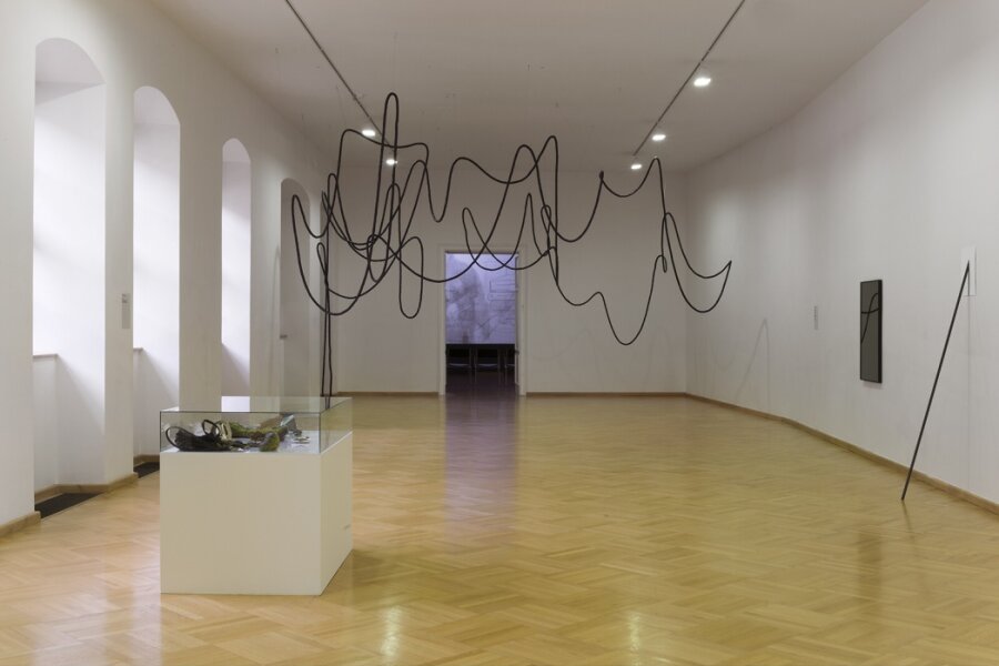 Foto: M. Dvořáková